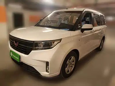 Wuling Motors Hongguang PLUS 2020