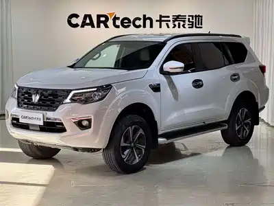 Dongfeng Fengdu Paladin 2024