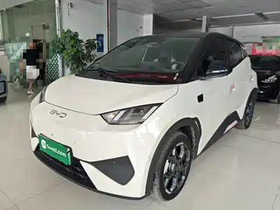 BYD Seagull 2025