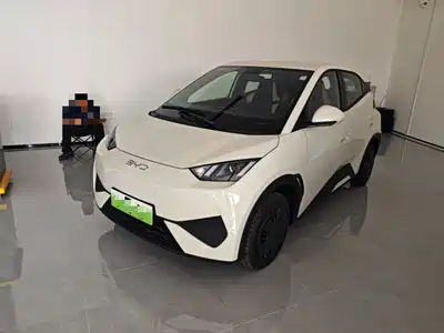BYD Seagull 2026