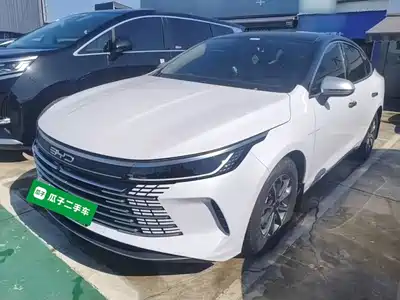 BYD Destroyer 05 2024