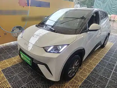 BYD Seagull 2024
