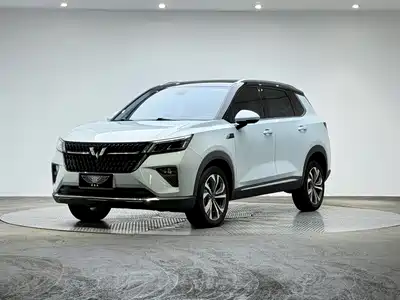 Wuling Motors Xingchen 2022