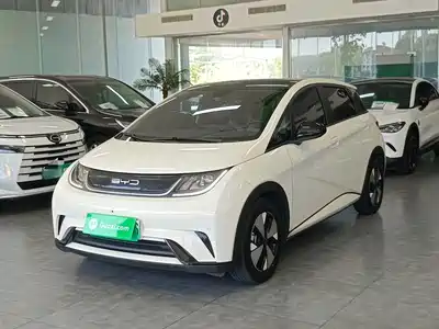 BYD Dolphin 2023