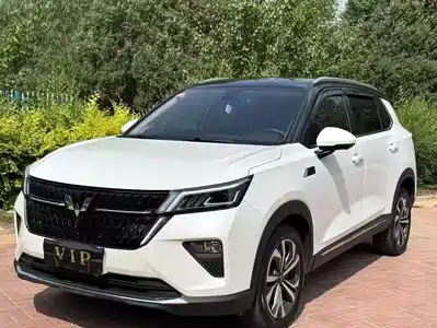 Wuling Motors Xingchen 2022
