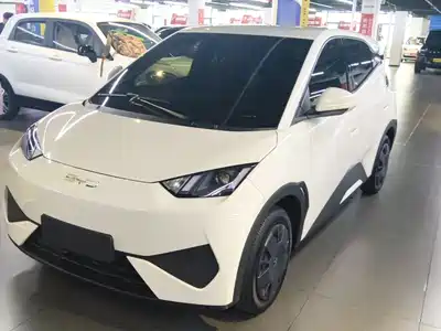 BYD Seagull 2025
