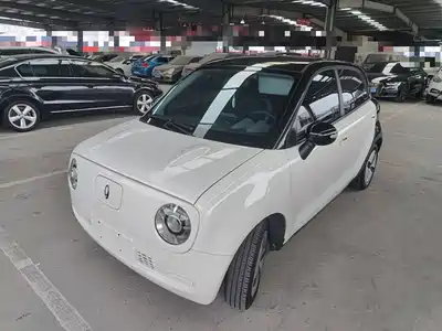 Ora Black Cat 2022