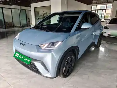 BYD Seagull 2024