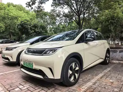 BYD Dolphin 2024