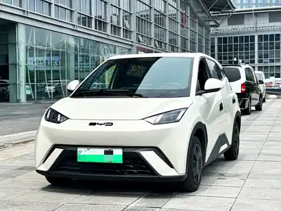 BYD Seagull 2024
