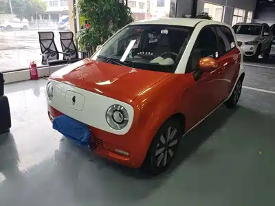 Ora Black Cat 2021