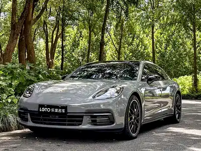 Porsche Panamera New Energy 2019