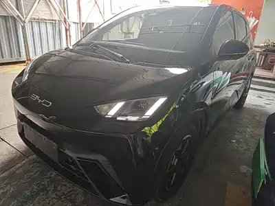 BYD Seagull 2024