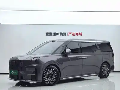 ZEEKR 009 2025