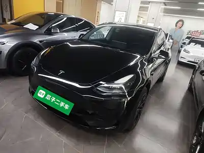 Tesla Model Y 2024