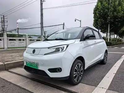 Electric House YOUNG Guang Xiaoxin 2022