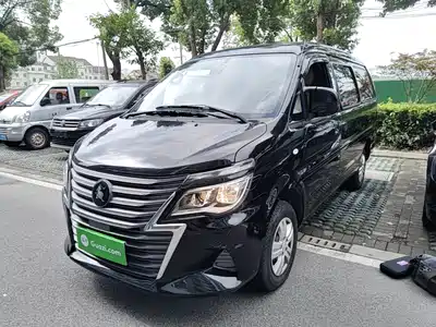Dongfeng Fengxing Lingzhi 2024