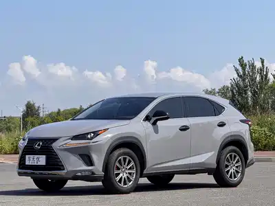 Lexus NX 2020