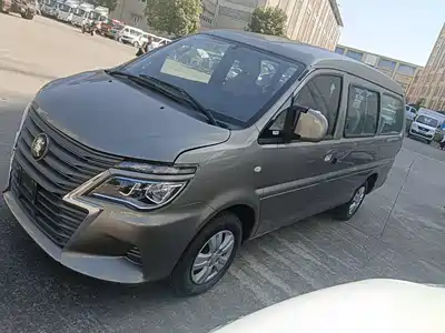 Dongfeng Fengxing Lingzhi 2024