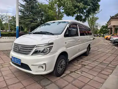 Dongfeng Fengxing Lingzhi 2019