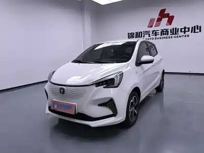 Changan Benben E-Star 2021