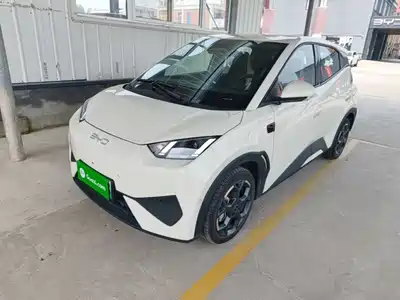 BYD Seagull 2025