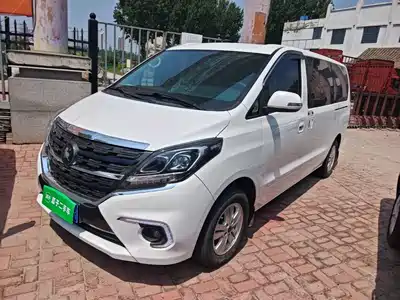 Dongfeng Fengxing M7 2022