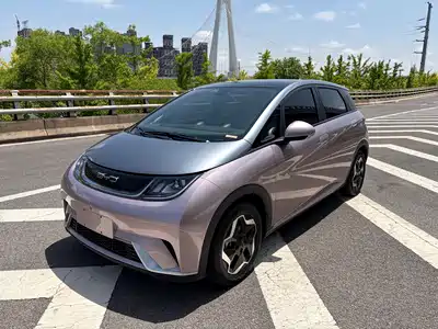 BYD Dolphin 2022