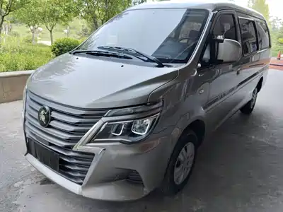 Dongfeng Fengxing Lingzhi 2024