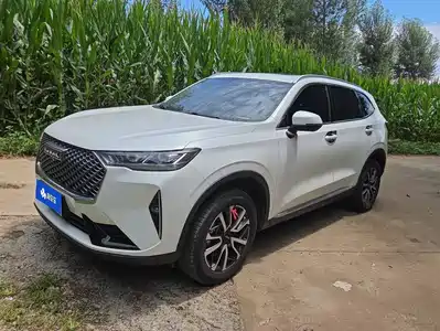 Haval H6 2021