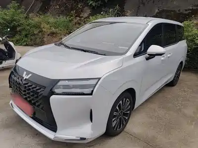 Wuling Motors Xingguang 730 New Energy 2025