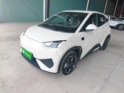BYD Seagull 2025