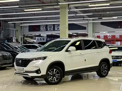 Dongfeng Fengxing T5 2023