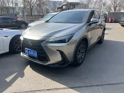 Lexus NX 2023