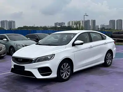 Geely Binrui 2019