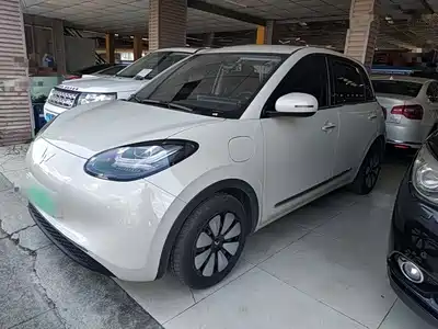 Wuling Motors Bingo 2024