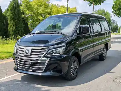 Dongfeng Fengxing Lingzhi New Energy 2026