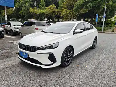 Geely Binrui 2023