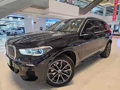 BMW X5 New Energy(Imported) 2021