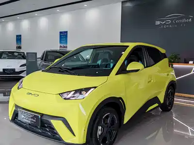 BYD Seagull 2024