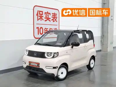 QQ New Energy QQ Ice Cream 2024