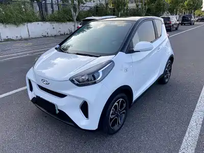 QQ New Energy Little Ant 2021