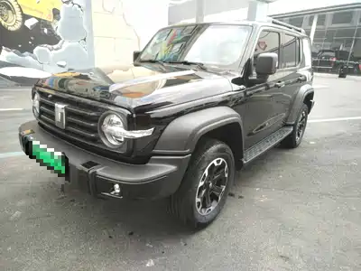 Tank 300 New Energy 2025