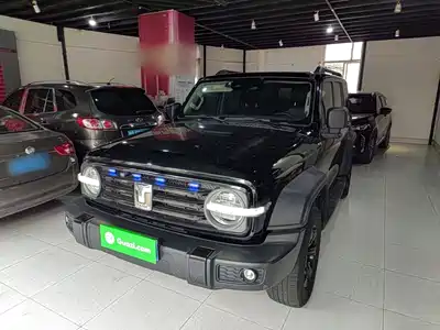 Tank 300 2023