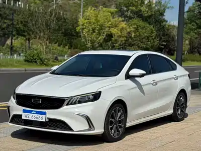 Geely Binrui 2021