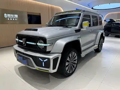 Crossboundary Auto Co-created Tank 300 2022