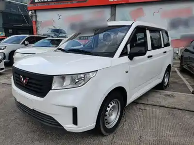 Wuling Motors Hongguang PLUS 2024