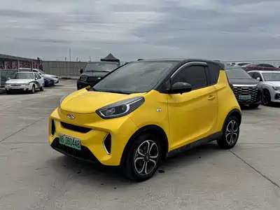 QQ New Energy Little Ant 2021