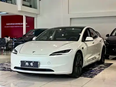 Tesla Model 3 2025