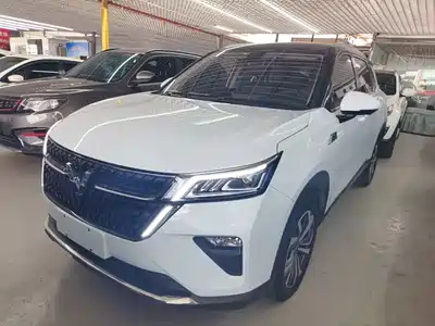 Wuling Motors Xingchen 2024